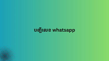 បញ្ជីលេខ whatsapp