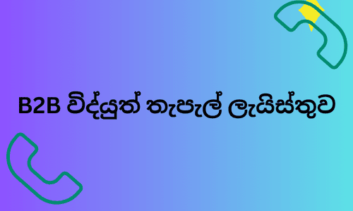 b2b විද්‍යුත් තැපැල් ලැයිස්තුව