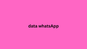 data whatsApp